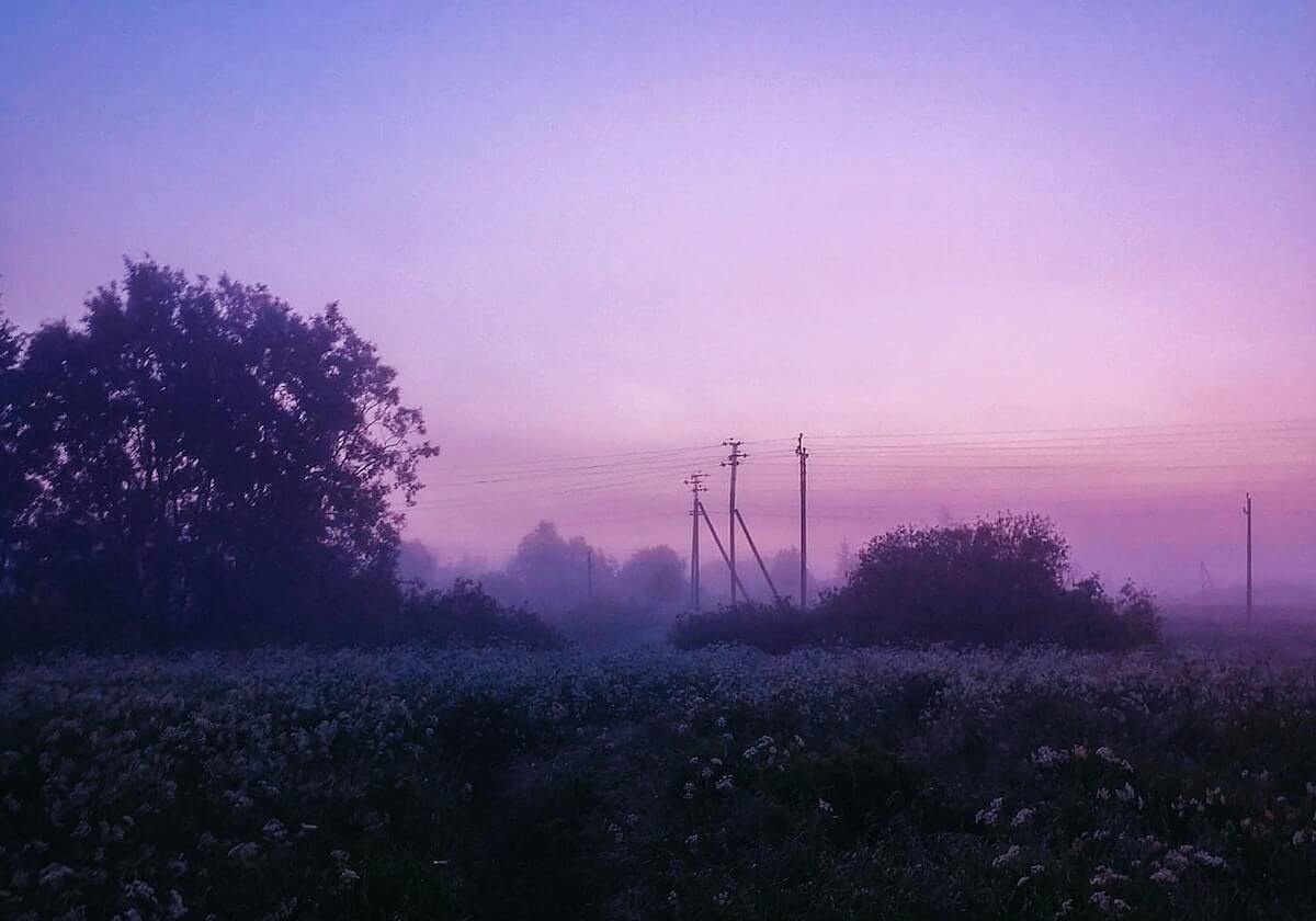 北京体育彩票官网-你爱吃的网红凤爪,生产工人为何一口不吃?其用工业双氧水漂白,药厂参与,黑产链终被